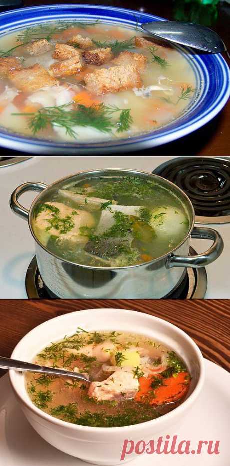 Уха из лососевых: готовим вкусный домашний суп / Простые рецепты