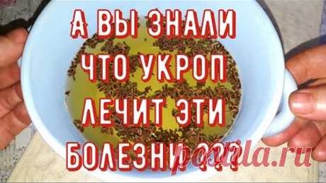 Дедушка пил укропную воду утром и на ночь! Вылечил 10 болезней, прожил 107 лет!