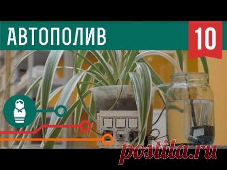 Автополив цветов на Arduino. Проекты для начинающих