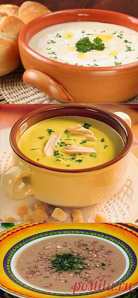 Супы-пюре из фасоли: 8 рецептов / Простые рецепты