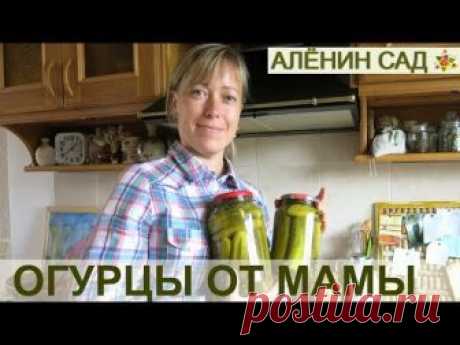 ОГУРЧИКИ маринованные от мамочки / Самый простой проверенный способ маринования огурцов