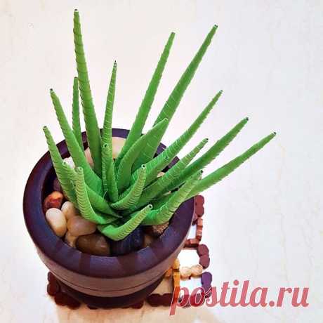 Paper Quilling Succulent Garden : 10 Steps (with Pictures)