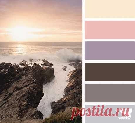 Design Seeds® | find your palette