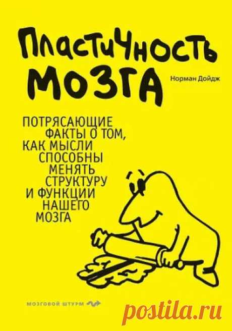 Аутизм – отрывок из книги Пластичность мозга ч.1