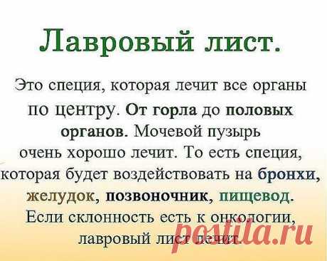 ЛАВРОВЫЙ ЛИСТ В ПОМОЩЬ 
Для тех, у кого застарелый остеохондроз, лучше любых мазей из аптеки помогают средства на основе лаврового листа.
Вот отличные рецепты:
1) Лавровое масло. Залить стаканом оливкового масла 1 ст. ложку мелко нарезанных лавровых листьев и настаивать 15 дней в теплом месте. Лучше всего втирать масло в больные места на ночь, а потом тепло укутываться.
2) Настой. Взять 1 ч. ложку измельченных листьев и залить 1,5 стакана кипятка. Настаивать в термосе 4 ча...