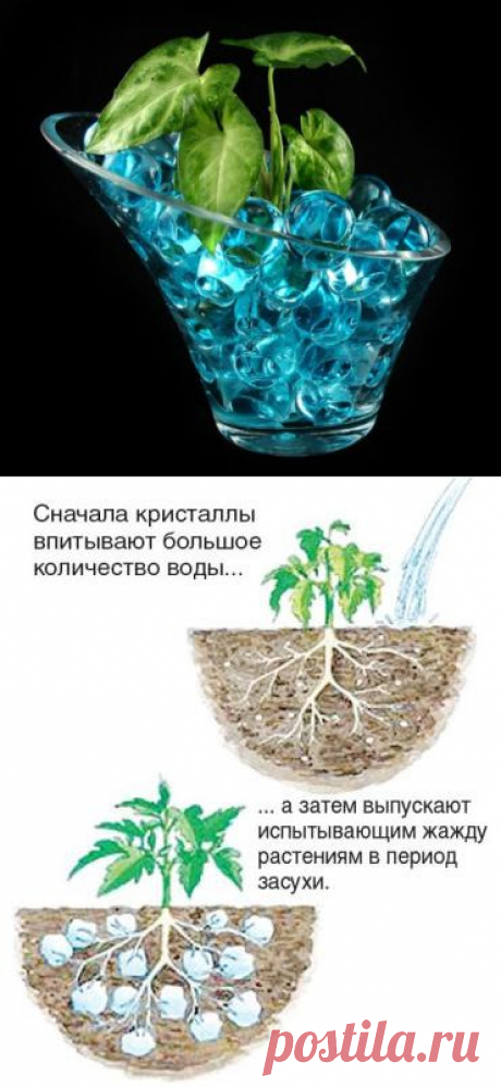 Гидрогель в жизни растений для овощей и цветов от Галки Охапкиной | Самоцветик
