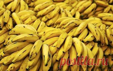 Уровень радиации может измеряться бананами • Фактрум