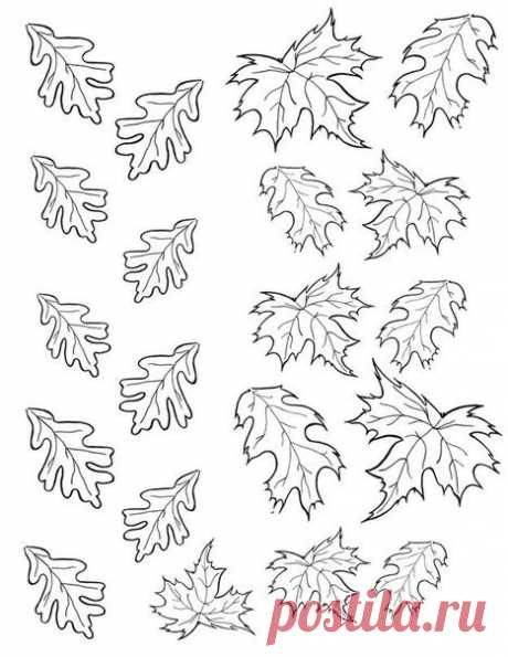 Leaf Patterns