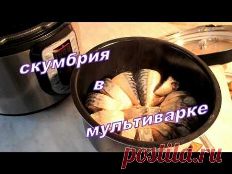 Скумбрия в мультиварке. Mackerel in multivarka.