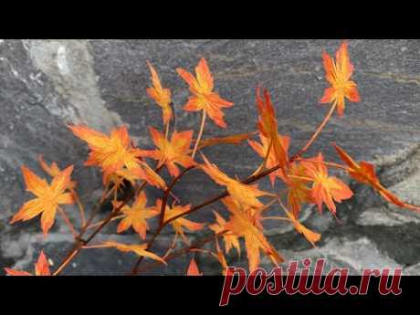 ABC TV | How To Make Autumn Leaf Branch With Crepe Paper - Craft Tutorial