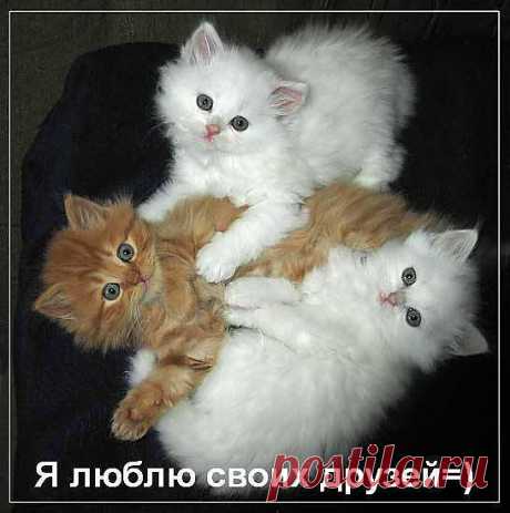 Мой Мир@Mail.Ru