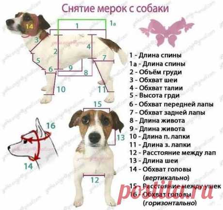 Рукоделие. Вязание. Тут вы найдете схемы для вязания крючком и спицами.