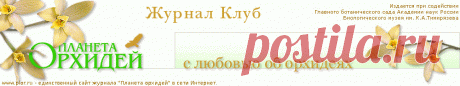 Фаленопсис: уход, болезни, выращивание. Советы специалистов.