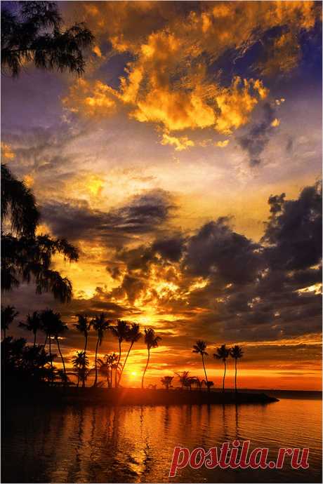 lifeisverybeautiful:
“Silver Palm Sunset (via Alan S. Maltz Gallery)
”