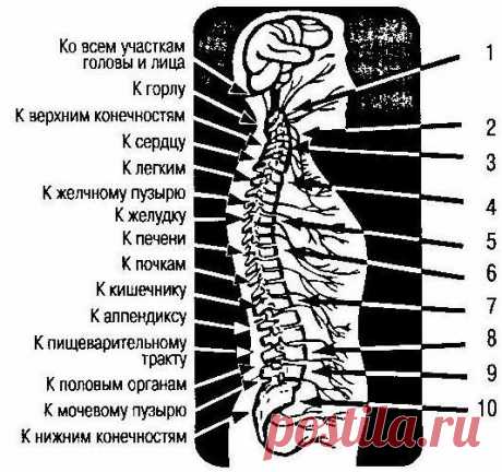 Чарльз и Фрэнсис Хантеры. &quot;Исцеление больных&quot;