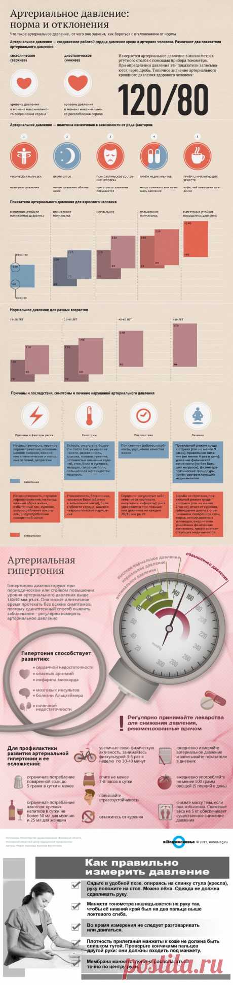 ИНФОГРАФИКА: АРТЕРИАЛЬНОЕ ДАВЛЕНИЕ: НОРМА И ОТКЛОНЕНИЯ | МУЗА НАШЕГО ДВОРА