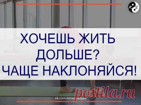 ХОЧЕШЬ ЖИТЬ ДОЛЬШЕ? ЧАЩЕ НАКЛОНЯЙСЯ!