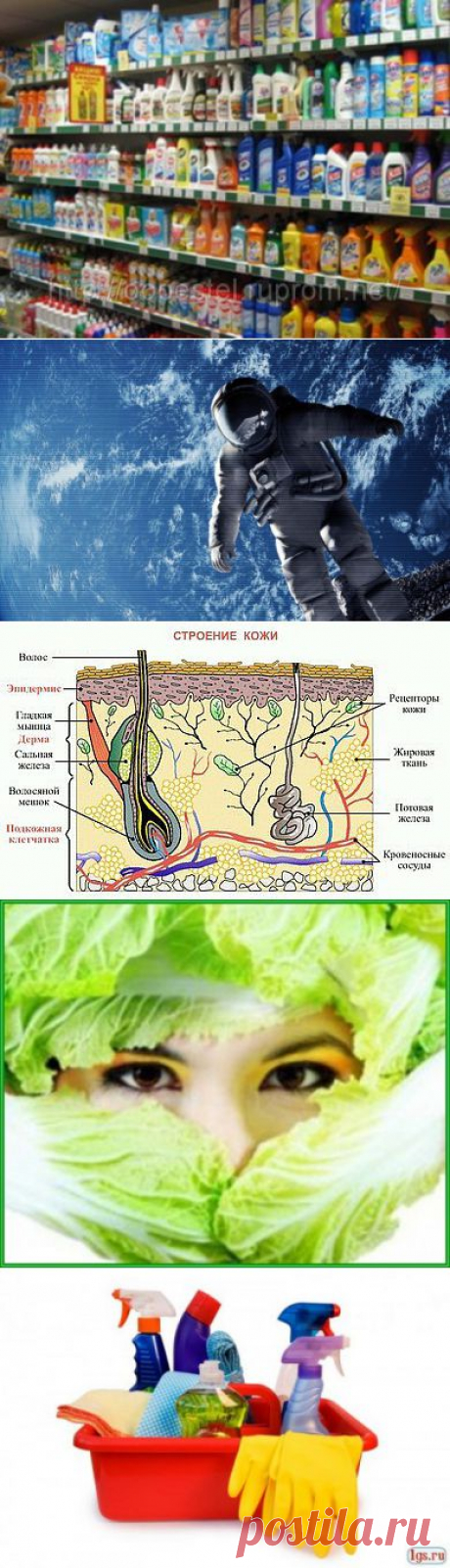 Кожа – не скафандр космонавта | ПолонСил.ру - социальная сеть здоровья