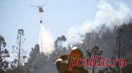 Пожар в аргентинском нацпарке Лос-Алерсес охватил более 1 тысячи га. Лесной пожар охватил более 1 тыс. га в аргентинском национальном парке Лос-Алерсес. Данный нацпарк включён в Список всемирного наследия ЮНЕСКО. Читать далее
