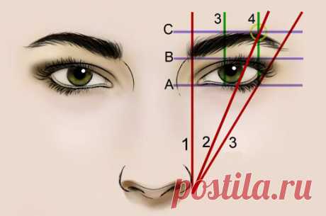 Форма бровей и их коррекция » Женский Мир