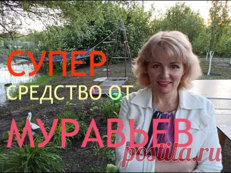 МУРАВЬИ. Как избавиться от муравьев на участке. Самое лучшее средство для борьбы с муравьями