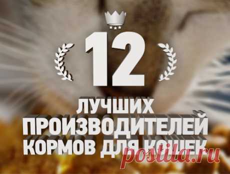 Рейтинг 12 лучших кошачьих кормов — ТОП 12 — 127730 просмотров