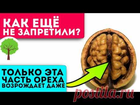 К врачам ни ногой! Настойка от простуды, болей в суставах и спине,  сердце, глазах и даже…