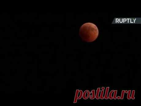 Царица ночи: прямая трансляция полного лунного затмения — РТ на русском