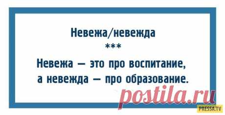 Слова, по которым легко определить уровень культуры