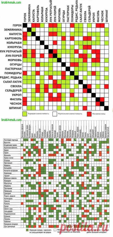 Совместимость различных огородных культур