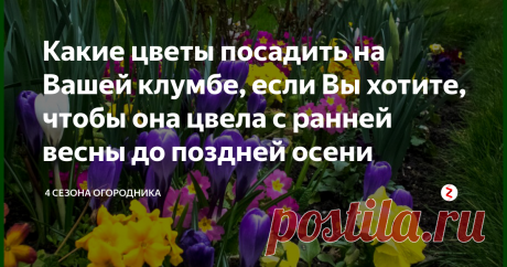 Какие цветы посадить на Вашей клумбе, если Вы хотите, чтобы она цвела с ранней весны до поздней осени Чтобы цветник радовал с ранней весны до поздней осени, надо помнить об особенностях растений. Клумбу лучше всего разбивать на солнечной стороне участка с учетом периодов цветения. Можно даже заранее поделить на зоны: весна, лето и осень. Очень интересные решения получаются из многолетних цветов.
Преимущества многолетников
Основное, что приходит на ум – долговечность;
Они п...