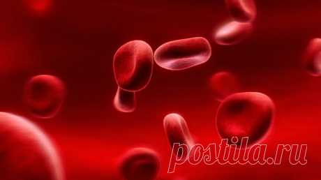 Группа крови и ее влияние характер человека - Otvetnavse.com
