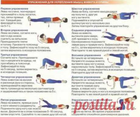 Упражнения для укрепления мышц живота и спины