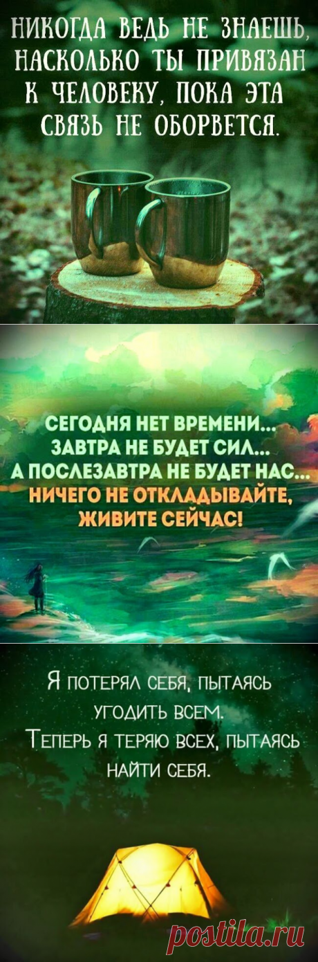 Сильно сказано: 20 высказываний в картинках
➡️ Читайте подробнее, кликнув на фото