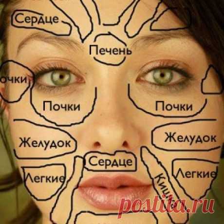 Вот это да! китайская «карта лица» расскажет, что беспокоит твой организм!