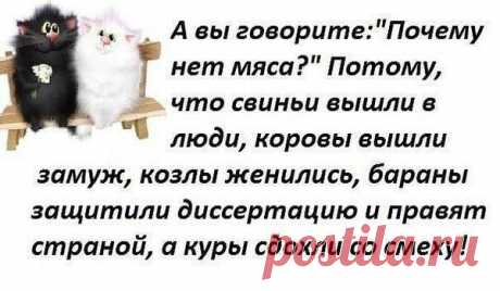 Виктор: Я не стучусь в закрытую дверь! В ответ, Я молча закрываю свою… Я не навязываюсь! Мир огромен - и там уж точно есть тот, кто счастлив получая именно мое общение, мой взгляд и мою улыбку… Я не ревную! Если человек твой - то он твой!!!