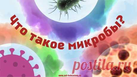 Что такое микробы и чем они отличаются от паразитов? 

Самыми распространенными организмами на нашей планете являются микробы.

Микробы - это такие организмы, которых вы не сможете увидеть свободным глазом, но их численность никто точно не знает (их очень много!).