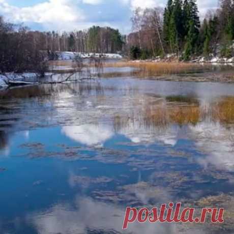 Планы на выходные...😊