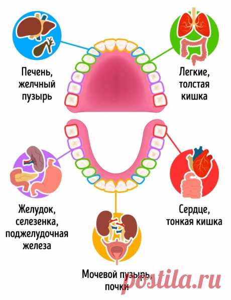 10 популярных продуктов, которые наносят вашим зубам непоправимый вред