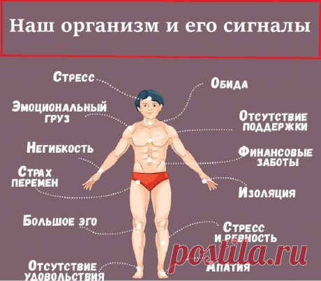 ● Наш организм и его сигналы.● 
Врачи уверены, что в нашем организме «вдруг» ничего не бывает. И даже малейшие изменения в нашей внешности утром говорят о том, что со здоровьем что-то пошло не так… Мало кто из нас подвергается регулярному медосмотру. Но предупредительные сигналы организма о начинающихся неполадках мы можем рассмотреть сами на открытых участках собственного тела. 
•●• Потрескавшиеся губы Если наряду с трещинками на губах и в уголках рта ощущается мышечная с...