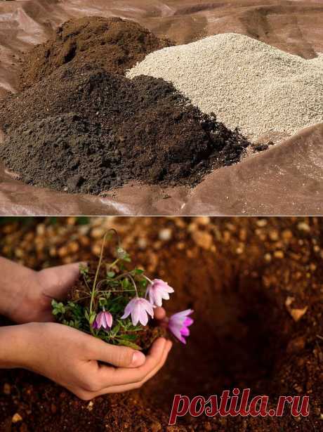 Как правильно удобрять разные типы почв