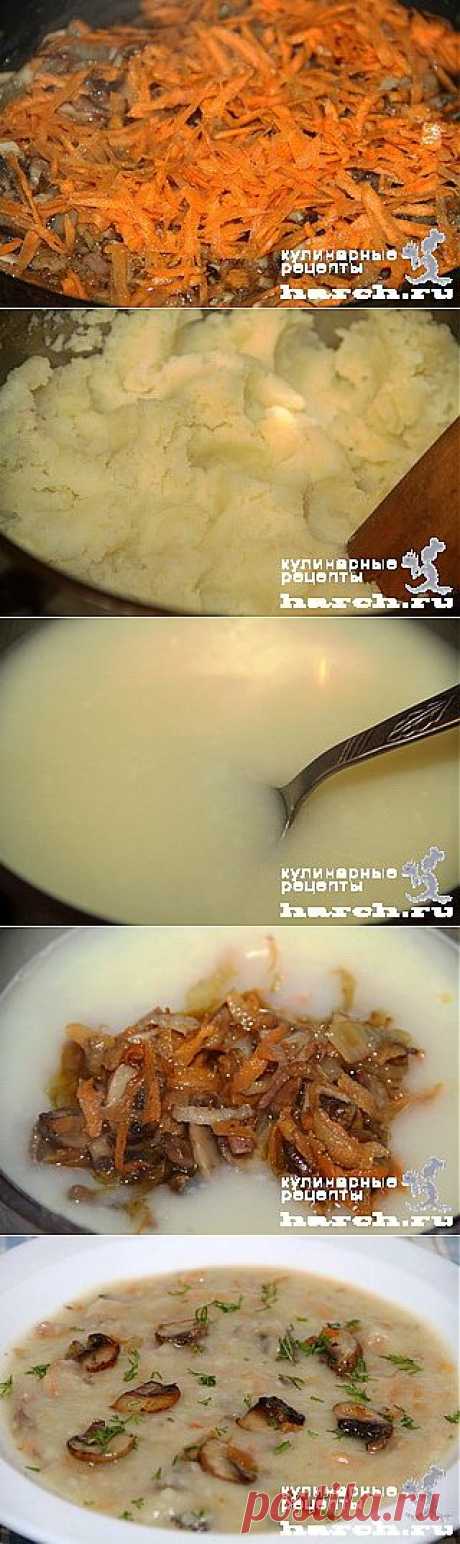 Картофельный суп-пюре с грибами | Харч.ру - рецепты для любителей вкусно поесть