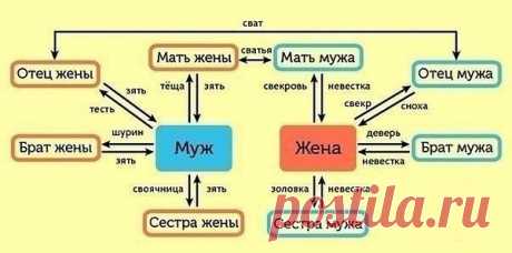 Как не запутаться в родственниках?

У Вас дружная и многочисленная семья? Никак не можете запомнить, кем Вам приходятся все Ваши родственники? Мы поможем разобраться!

1) Родители супругов

Свёкор — отец мужа.
Свекровь — мать мужа.
Тесть — отец жены.
Тёща — мать жены.
Сват — отец одного из супругов по отношению к родителям другого супруга.
Сватья (сваха) — мать одного из супругов по отношению к родителям другого супруга.

2) Братья и сёстры супругов

Деверь — брат мужа.
Золовка —