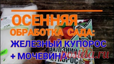 🍁📌ОСЕННЯЯ ОБРАБОТКА САДА МОЧЕВИНОЙ И ЖЕЛЕЗНЫМ КУПОРОСОМ