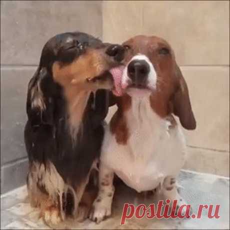 We love taking a shower