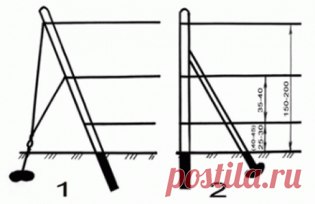Опоры для винограда. Устройство одноплоскостной вертикальной шпалеры — Приусадебное виноградарство Беларуси