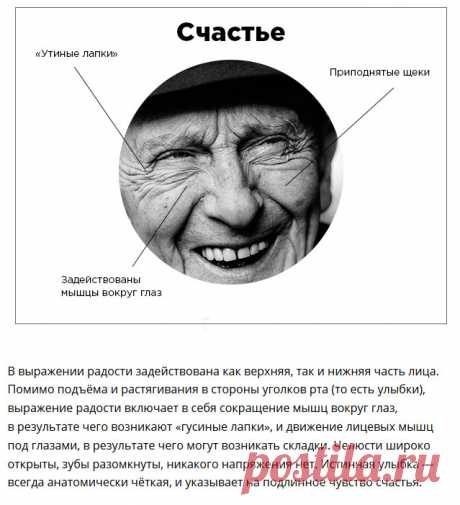 Как понять эмоциональное состояние собеседника по выражению лица (7 фото) | Чёрт побери