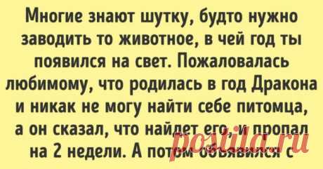 16 коротких историй о том, что любовь и забота проявляются в мелочах . Милая Я