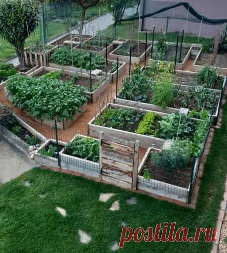 13 доступных идей по созданию высоких грядок, которые украсят сад или огород