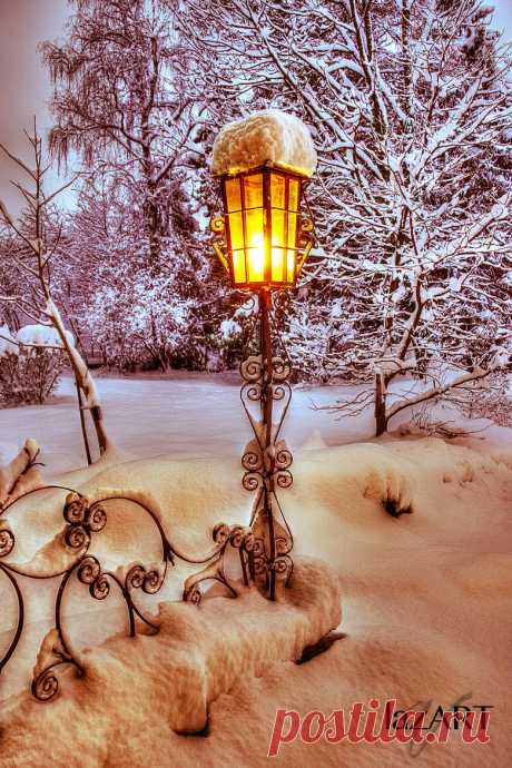 Winter by Lazar Gulyas /